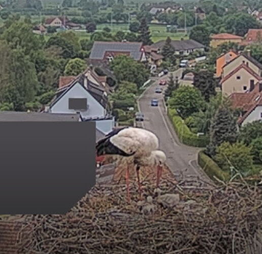 Snap_2024.05.08_15h24m21s_009_