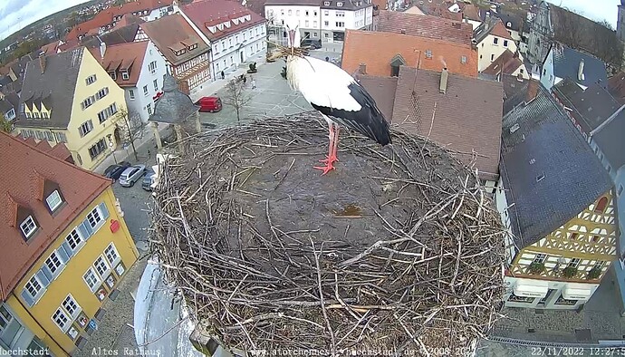 Bild