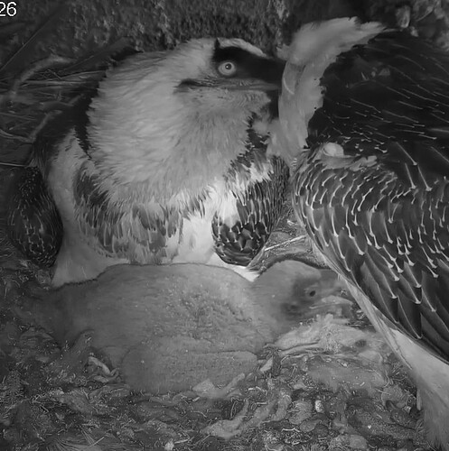 Screenshot_20240327-171037~2