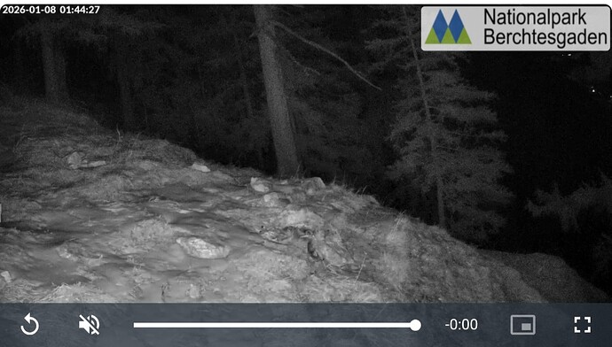 Screenshot_20260110_073754_Samsung Internet