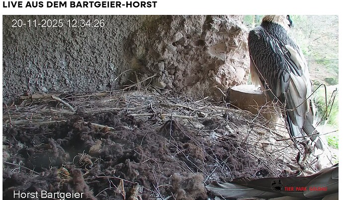 Screenshot_20251120-123529~2