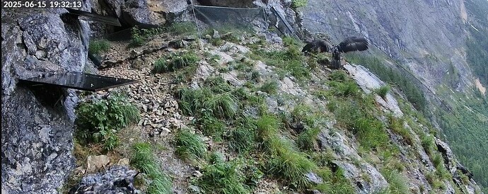 Screenshot 2025-06-15 192726