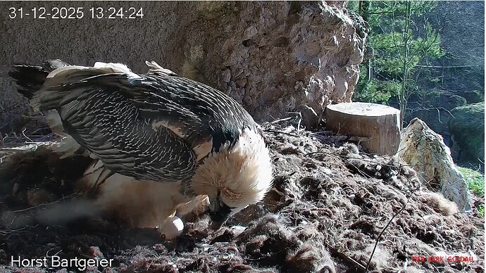 Eikontrolle 31.12.25