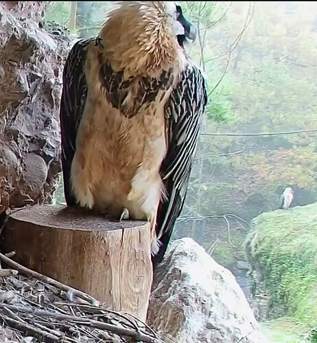 Screenshot_2025-11-01-08-40-38-852_com.android.chrome~3