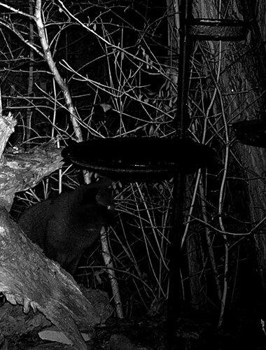 Screenshot_20221222_202932_Samsung Internet