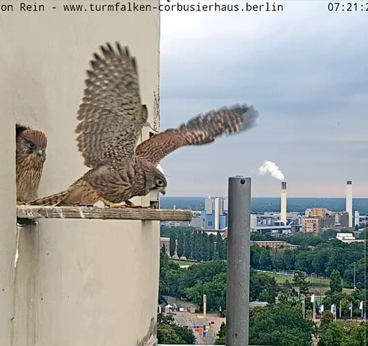 VideoCapture_20240615-074001