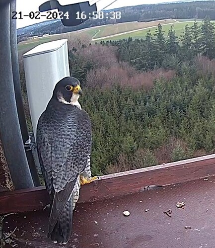 Screenshot_20240221_165731_Samsung Internet