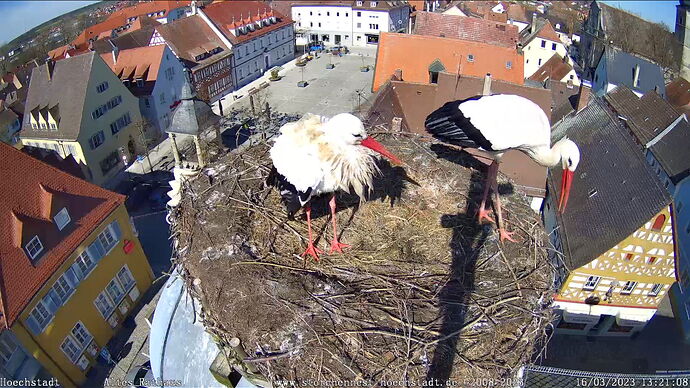 Snap_2023.03.16_13h21m54s_002_