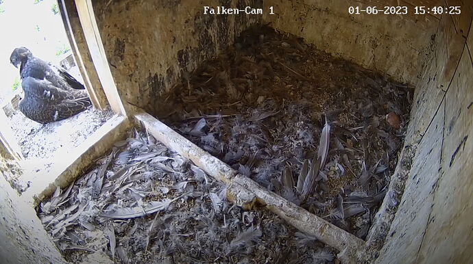 Snap_2023.06.01_15h40m51s_003_