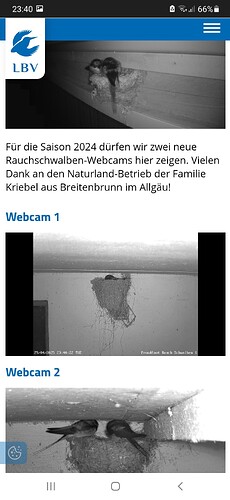 Screenshot_20250429-234035_Chrome