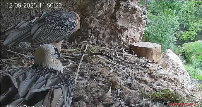 Screenshot_20250912-115124~2