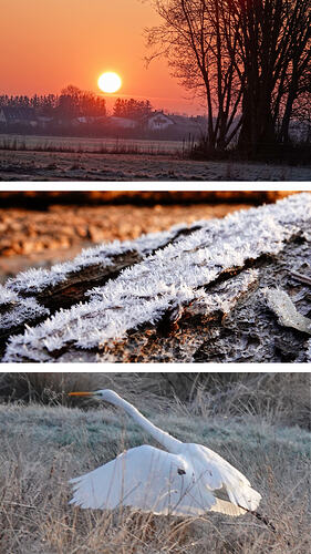 20260320_154955-COLLAGE