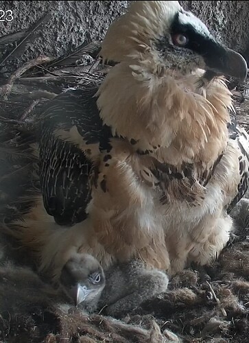 Screenshot_20240319-073036~2