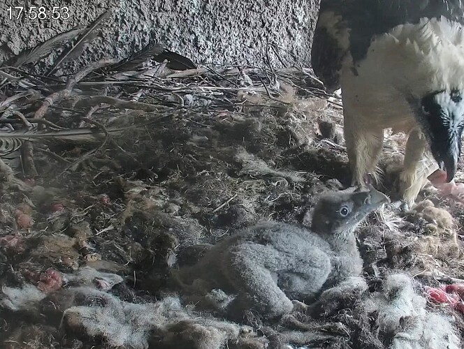 Screenshot_2024-03-22-17-59-05-010_com.android.chrome