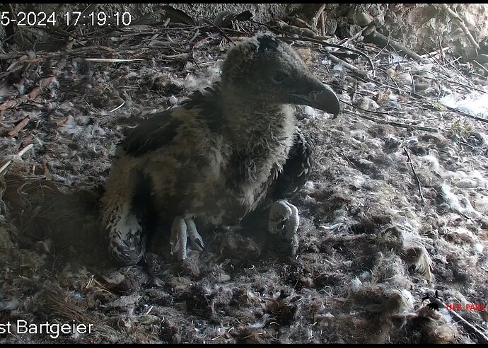 Screenshot_20240501_172015_Chrome