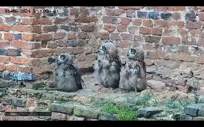 Screenshot_20240601-121523_YouTube