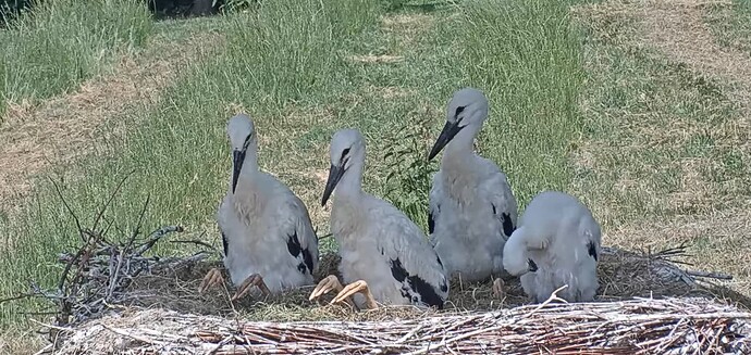 zeigt her eure fuesschen