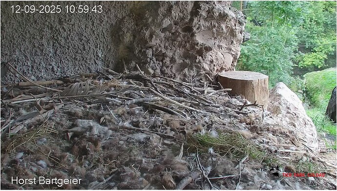 Screenshot_20250912-110047~2