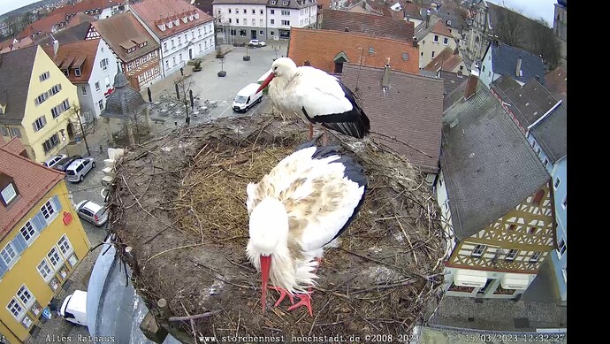 Bild