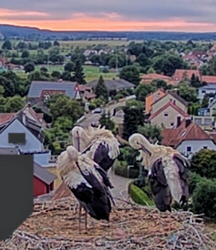 Screenshot_2025-07-17-20-58-52-807_com.android.chrome