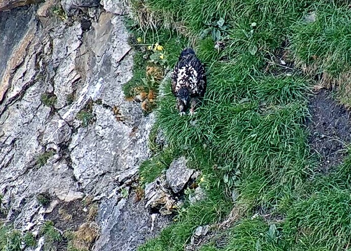 SnapShot-20260606_165912