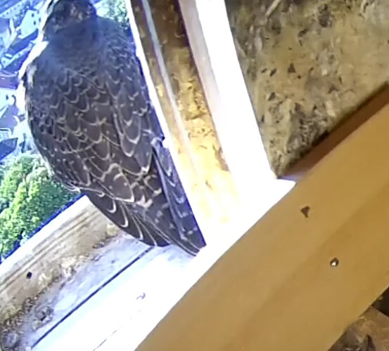 Screenshot_20230614-074515~2