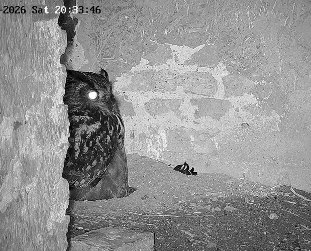 Screenshot_20260214_203357_Samsung Internet