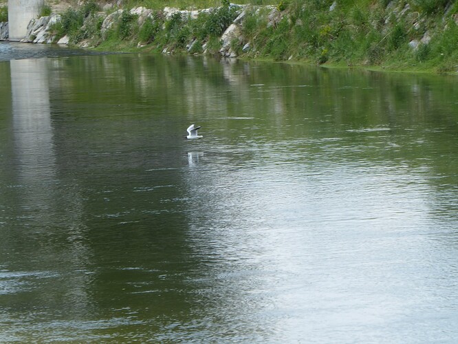 P1000935