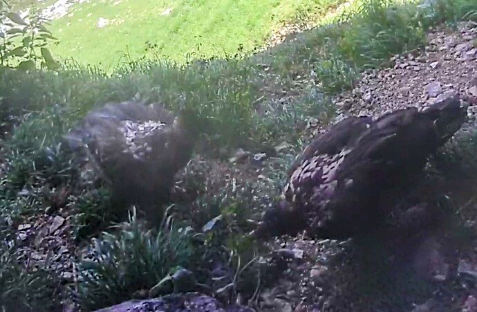 Screenshot_20240629-121308~3