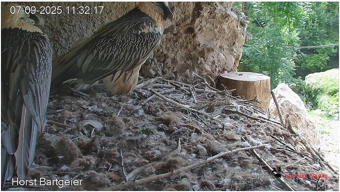 Screenshot_20250907-113320~2