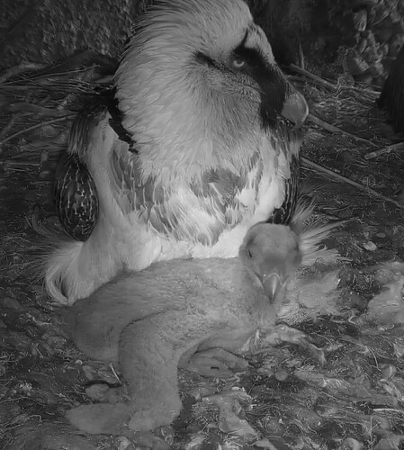 Screenshot_20240326-070050~2