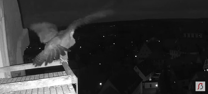 Screenshot_20260215_065811