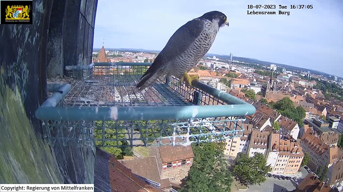 wfn_230718_Burghart_