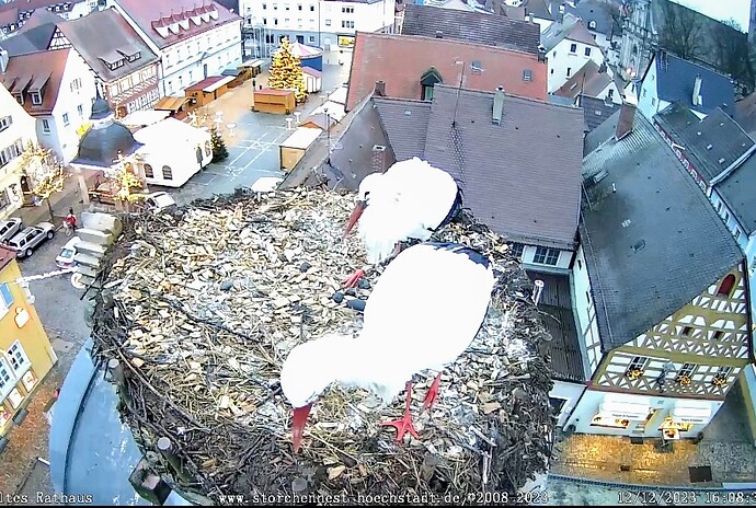 Screenshot_2023-12-12-16-08-57-626_com.android.chrome