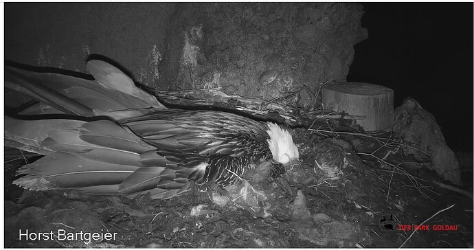 Screenshot_20251229-062534~2