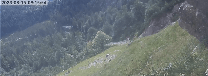 halsgrube 1 150823