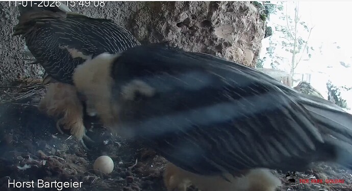 Schichtwechsel 11.01.26