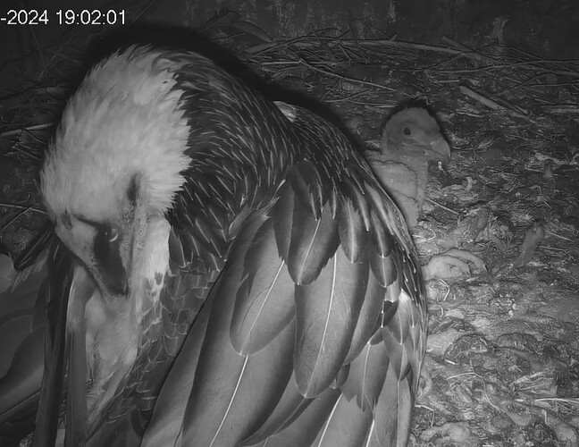 abendliches Putzen 30.03.24