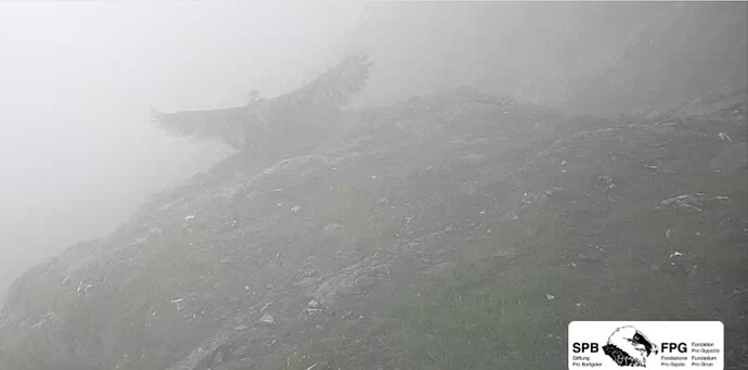 Flugübungen 09.06.26