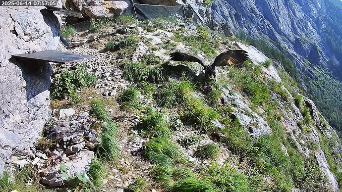 Bildschirmfoto vom 2025-06-14 07-57-24