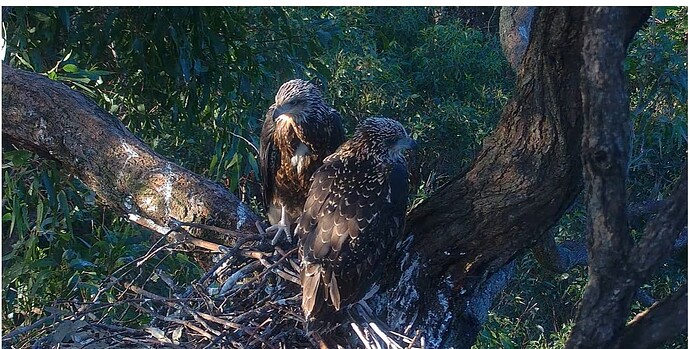 Screenshot 2024-10-09 231230