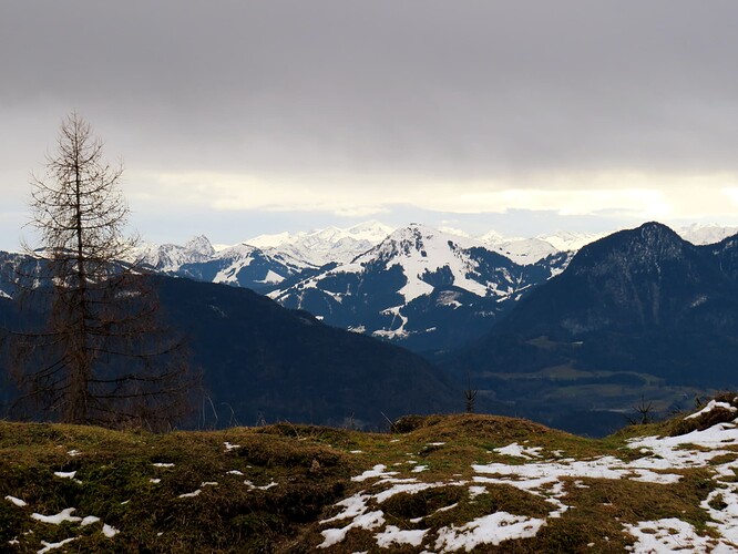IMG_20230115_122052