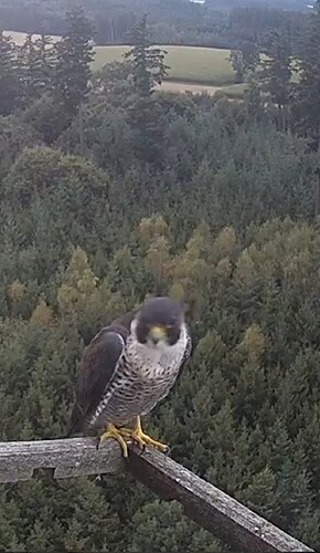 Screenshot_20230913_063900_Chrome