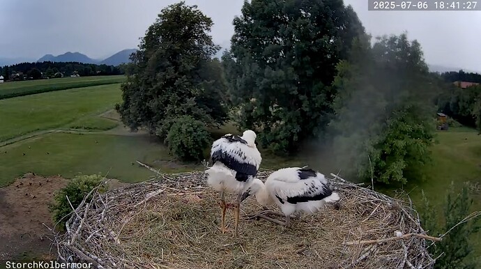 Screenshot_20250706_184156_YouTube