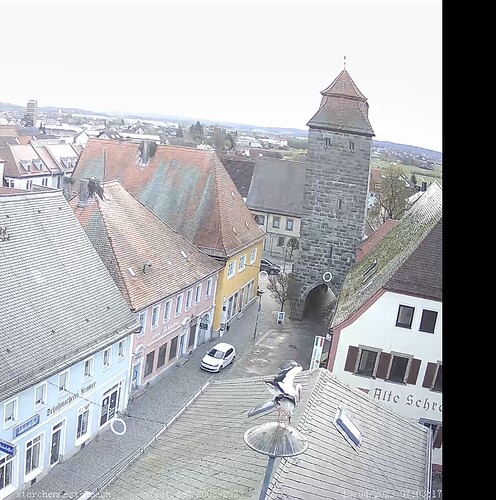 Bild