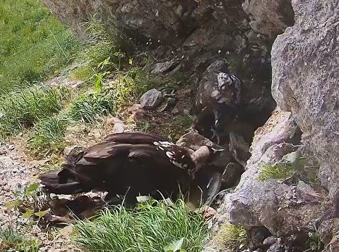 G. trinkt, L. schaut 15.06.25