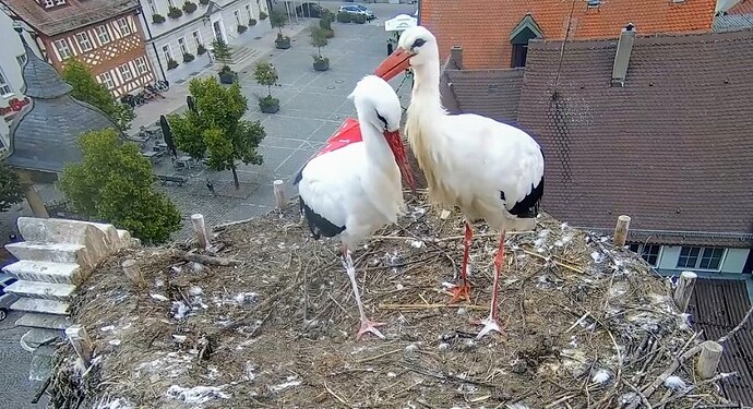 Screenshot_2024-08-14-20-55-16-267_com_1723661849396.facebook.katana