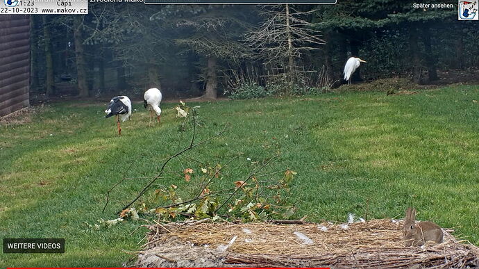 Snap_2023.10.22_13h04m16s_010_