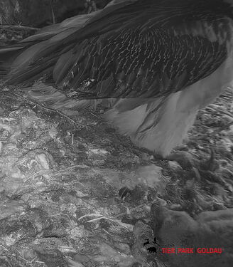 Snap_2024.04.03_07h56m08s_006_