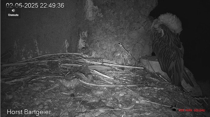 Screenshot 2025-06-02 224614